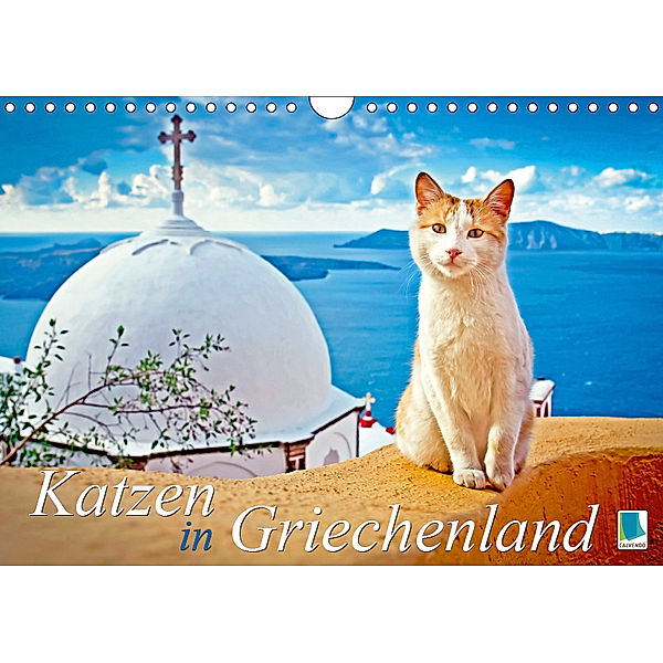 Katzen in Griechenland (Wandkalender 2019 DIN A4 quer), Calvendo