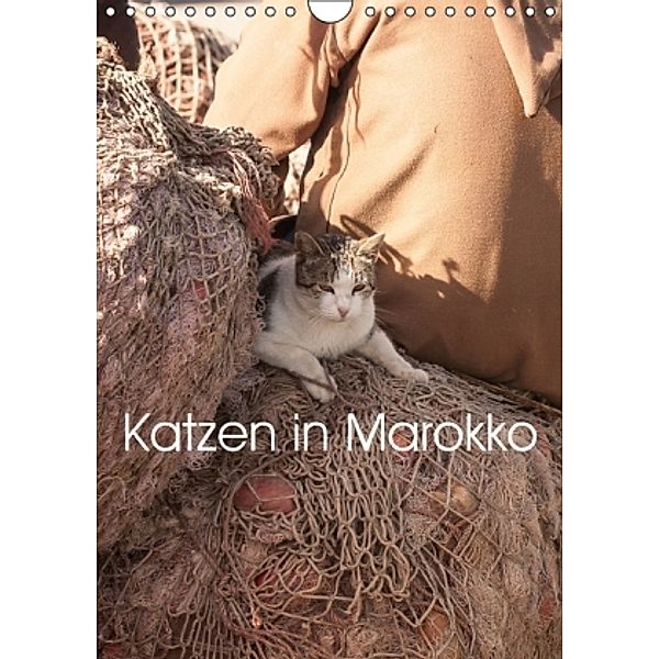 Katzen in Marokko (Wandkalender 2016 DIN A4 hoch), Anja Klein
