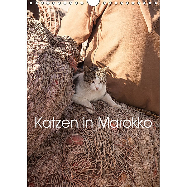 Katzen in Marokko (Wandkalender 2019 DIN A4 hoch), Anja Klein