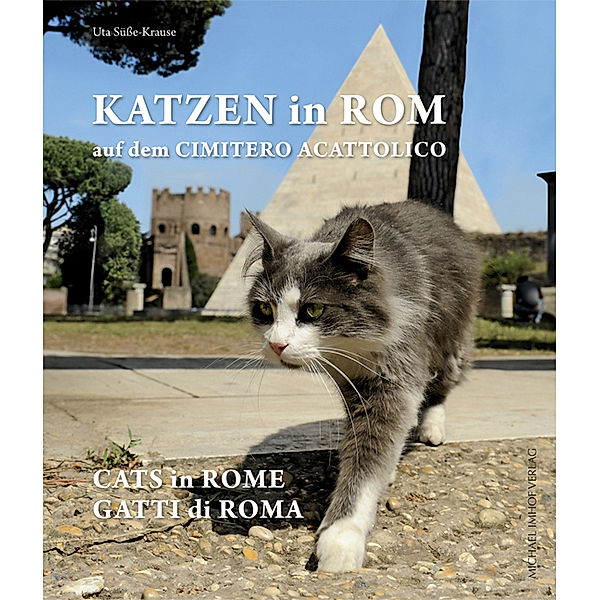 Katzen in Rom / Cats in Rome / Gatti di Roma