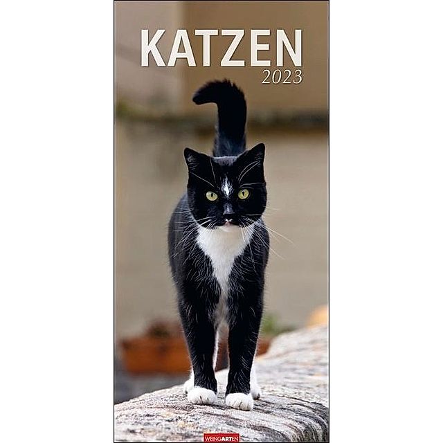 Katzen Kalender 2023 - Kalender günstig bei Weltbild.de bestellen
