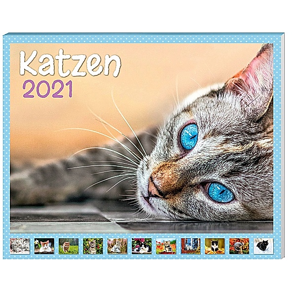 Katzen Kalender-Paket 2021, 9-teilig