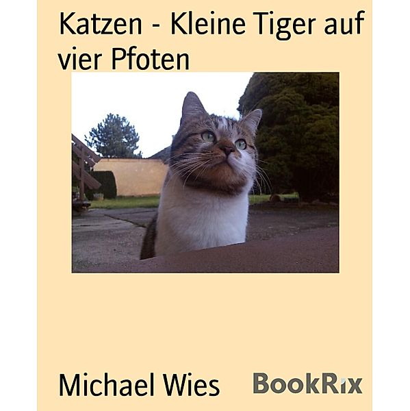 Katzen - Kleine Tiger auf vier Pfoten, Michael Wies