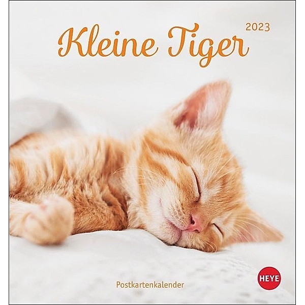 Katzen - Kleine Tiger Postkartenkalender 2023. Entzückende Katzenkinder in einem kleinen Kalender zum Aufhängen oder Auf