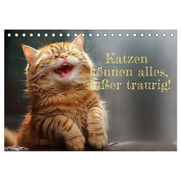 Katzen können alles, außer traurig. (Tischkalender 2024 DIN A5 quer), CALVENDO Monatskalender, Calvendo, KI,, zak- Rolf Skrypzak