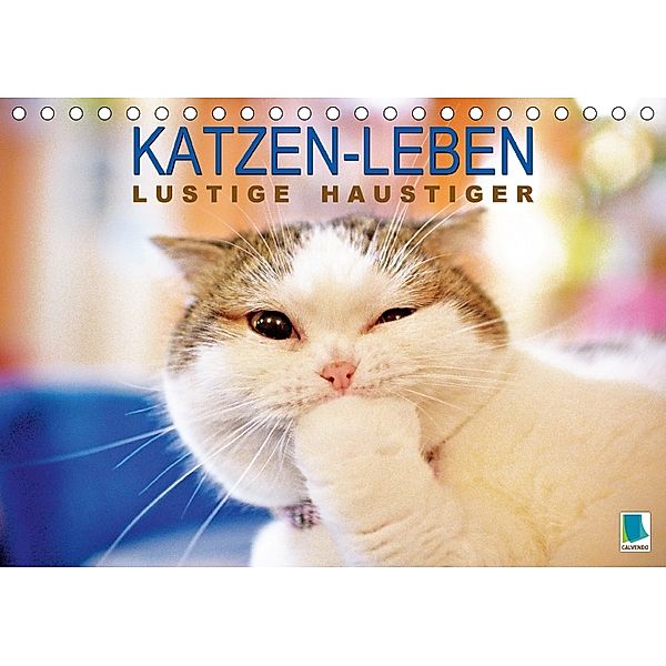 Katzen-Leben: Lustiger Haustiger (Tischkalender 2018 DIN A5 quer), CALVENDO