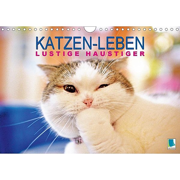 Katzen-Leben: Lustiger Haustiger (Wandkalender 2020 DIN A4 quer)