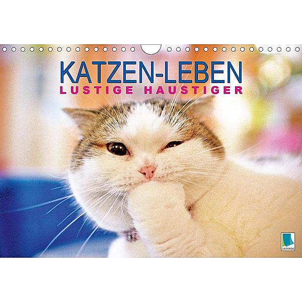 Katzen-Leben: Lustiger Haustiger (Wandkalender 2021 DIN A4 quer), Calvendo