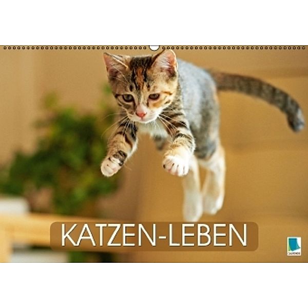 Katzen-Leben (Wandkalender 2015 DIN A2 quer), CALVENDO