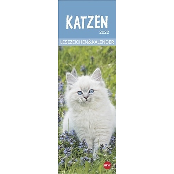 Katzen Lesezeichen & Kalender 2022