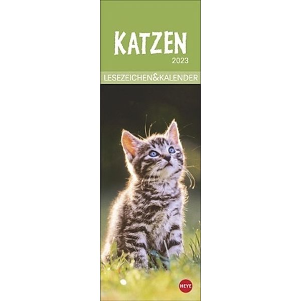 Katzen Lesezeichen & Kalender 2023. Süße Kätzchen in einem Mini-Kalender. Perfekt als kleine Aufmerksamkeit zu Weihnacht