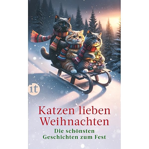 Katzen lieben Weihnachten