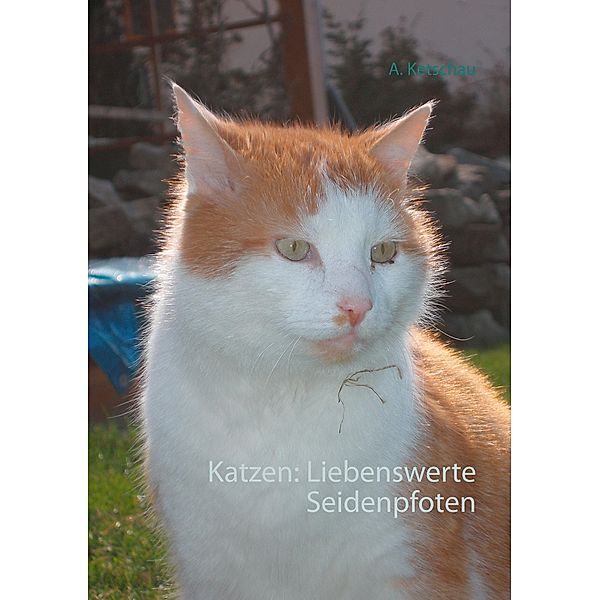 Katzen: Liebenswerte Seidenpfoten, A. Ketschau