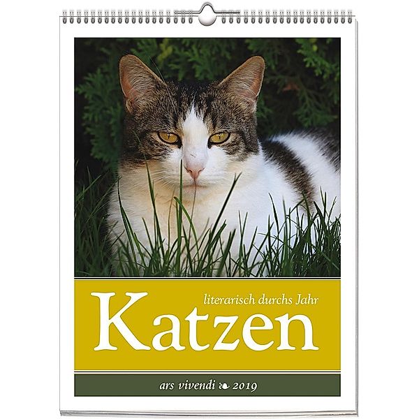 Katzen - literarisch durchs Jahr 2019