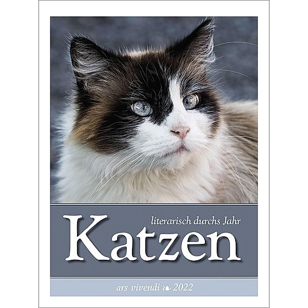 Katzen - literarisch durchs Jahr 2022