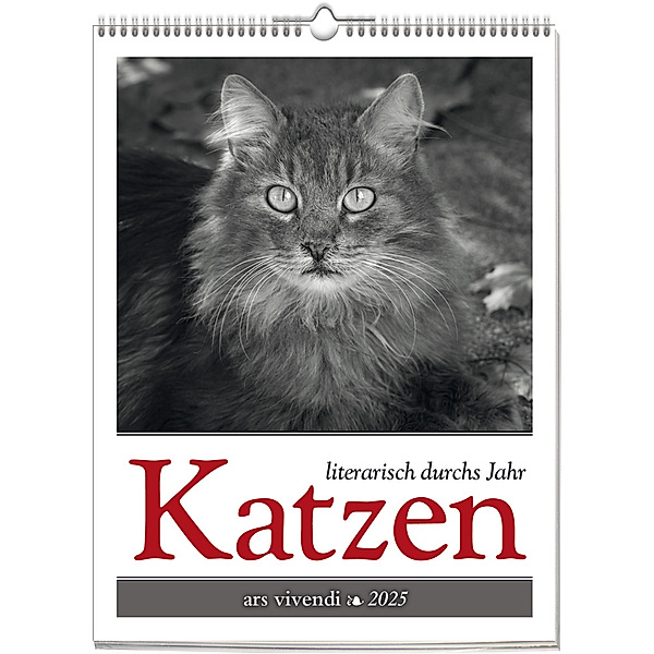 Katzen - Literarisch durchs Jahr 2025, Vivendi Ars