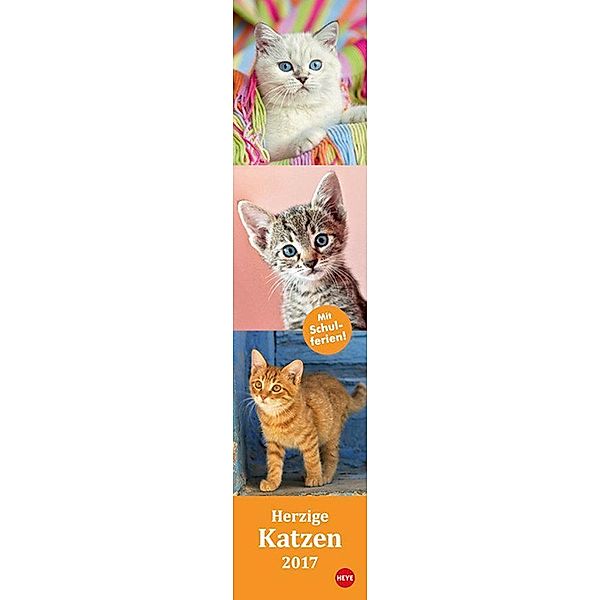 Katzen long - Herzige Katzen 2017