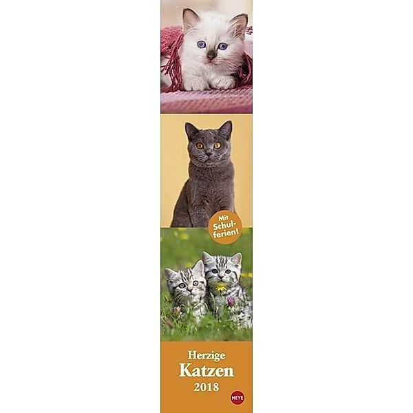 Katzen long - Herzige Katzen 2018