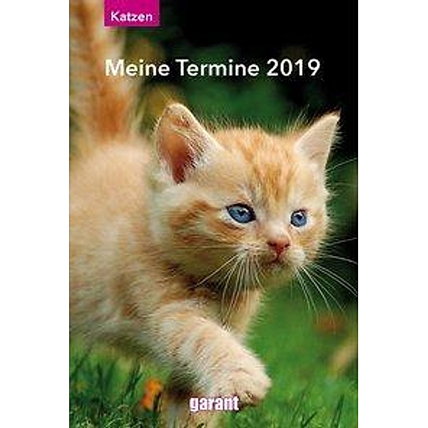 Katzen, Meine Termine 2019