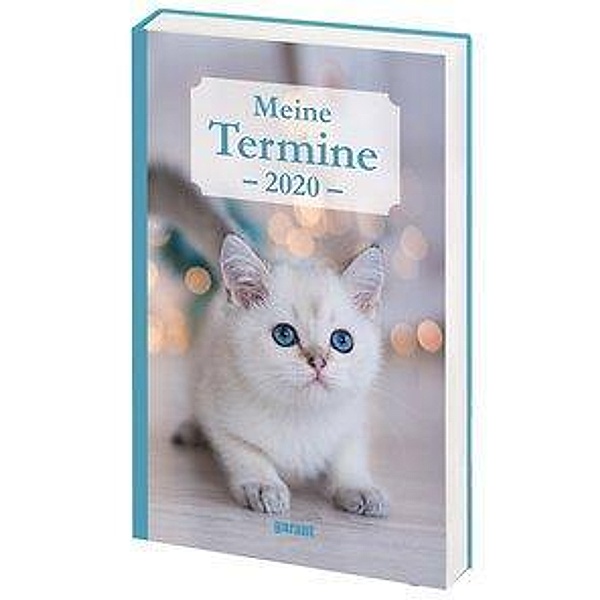 Katzen, Meine Termine 2020