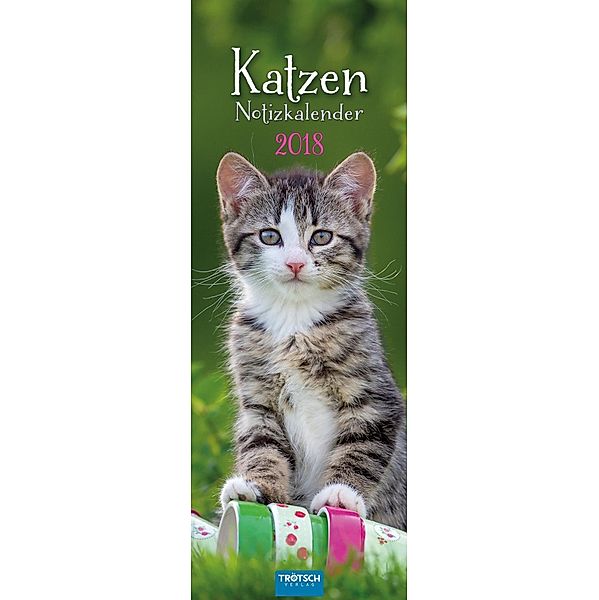 Katzen Notizkalender 2018