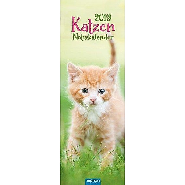 Katzen Notizkalender 2019