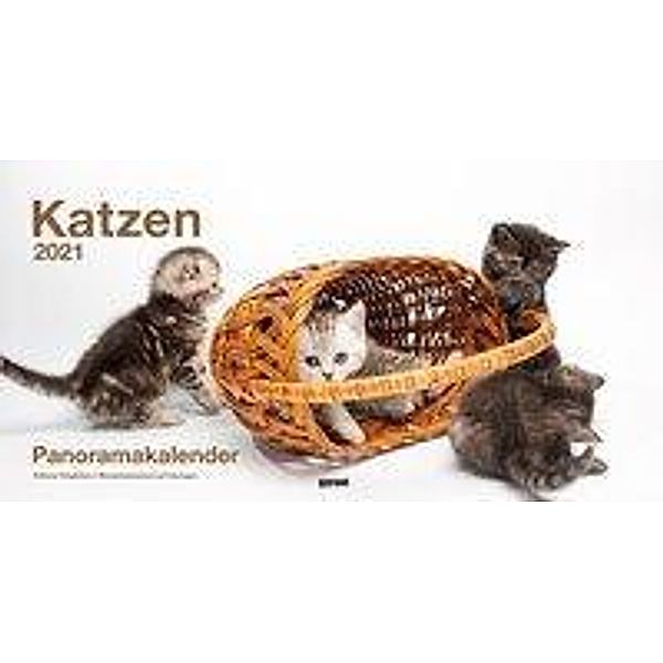 Katzen, Panoramakalender 2021