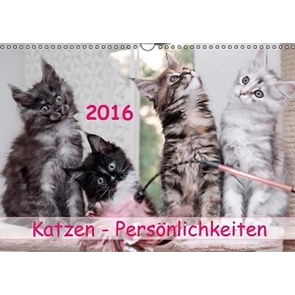 Katzen Persönlichkeiten 2016 (Wandkalender 2016 DIN A3 quer), Patrick Rüberg