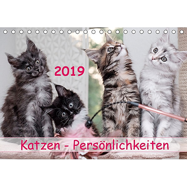 Katzen Persönlichkeiten 2019 (Tischkalender 2019 DIN A5 quer), Patrick Rüberg