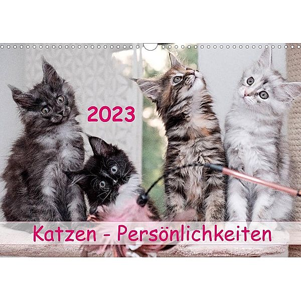 Katzen Persönlichkeiten 2023 (Wandkalender 2023 DIN A3 quer), Patrick Rüberg