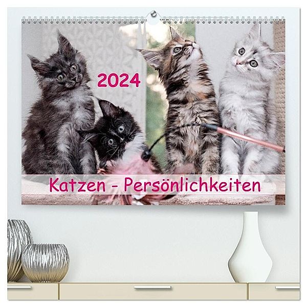 Katzen Persönlichkeiten 2024 (hochwertiger Premium Wandkalender 2024 DIN A2 quer), Kunstdruck in Hochglanz, Patrick Rüberg
