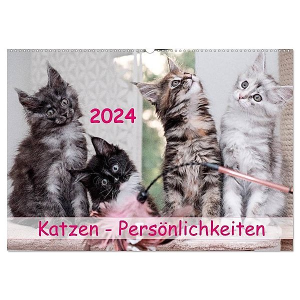 Katzen Persönlichkeiten 2024 (Wandkalender 2024 DIN A2 quer), CALVENDO Monatskalender, Patrick Rüberg
