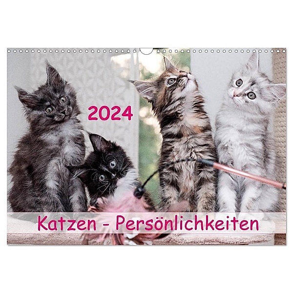 Katzen Persönlichkeiten 2024 (Wandkalender 2024 DIN A3 quer), CALVENDO Monatskalender, Patrick Rüberg