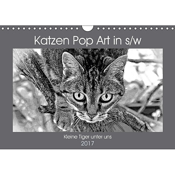 Katzen Pop Art in s/w - Kleine Tiger unter uns (Wandkalender 2017 DIN A4 quer), Marion Bönner