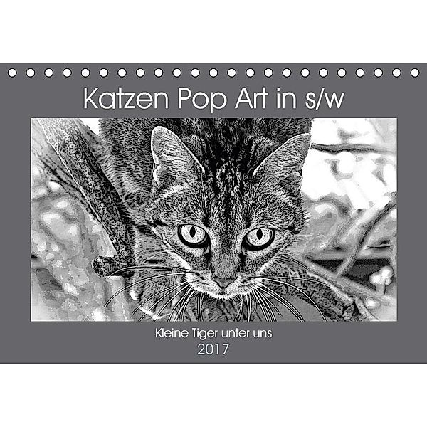 Katzen Pop Art in s/w - Kleine Tiger unter uns (Tischkalender 2017 DIN A5 quer), Marion Bönner