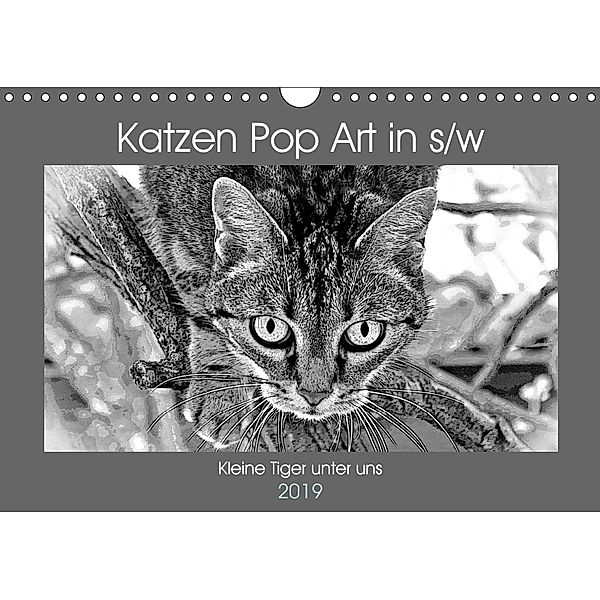 Katzen Pop Art in s/w - Kleine Tiger unter uns (Wandkalender 2019 DIN A4 quer), Marion Bönner