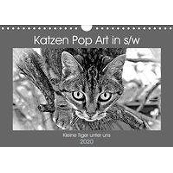 Katzen Pop Art in s/w - Kleine Tiger unter uns (Wandkalender 2020 DIN A4 quer), Marion Bönner