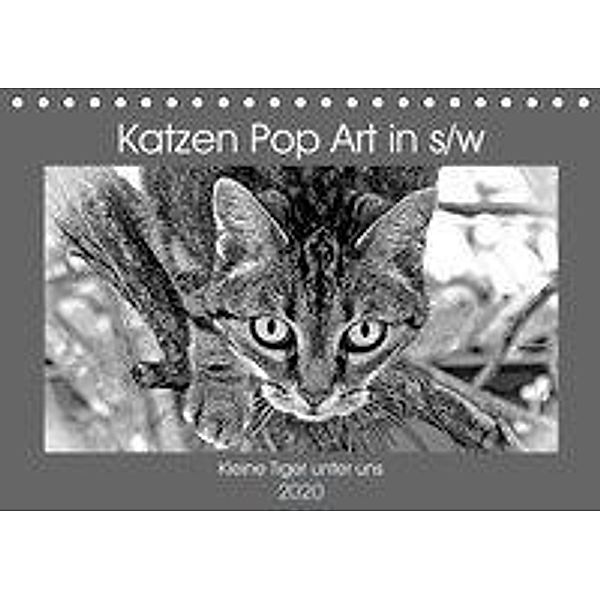 Katzen Pop Art in s/w - Kleine Tiger unter uns (Tischkalender 2020 DIN A5 quer), Marion Bönner