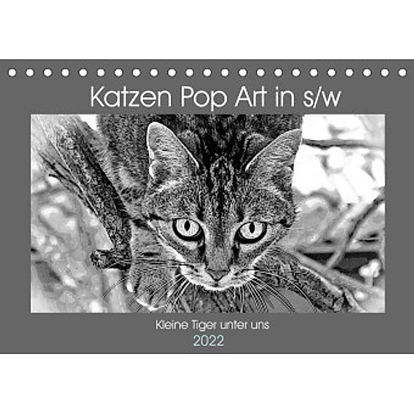 Katzen Pop Art in s/w - Kleine Tiger unter uns (Tischkalender 2022 DIN A5 quer), Marion Bönner