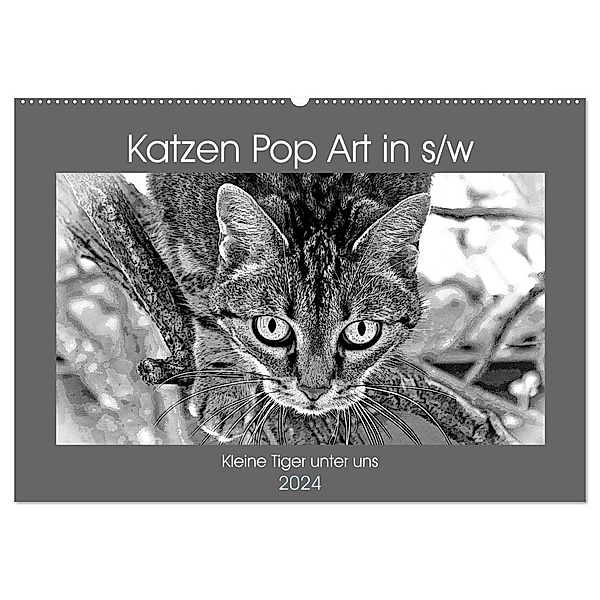 Katzen Pop Art in s/w - Kleine Tiger unter uns (Wandkalender 2024 DIN A2 quer), CALVENDO Monatskalender, Marion Bönner