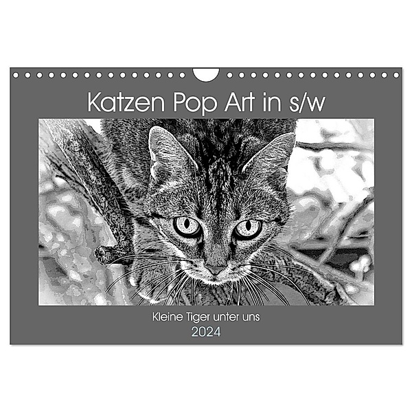 Katzen Pop Art in s/w - Kleine Tiger unter uns (Wandkalender 2024 DIN A4 quer), CALVENDO Monatskalender, Marion Bönner