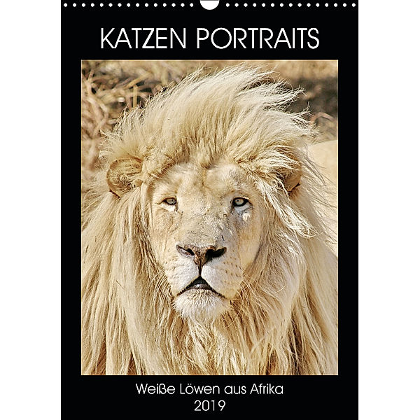 KATZEN PORTRAITS Weiße Löwen aus Afrika (Wandkalender 2019 DIN A3 hoch), N N