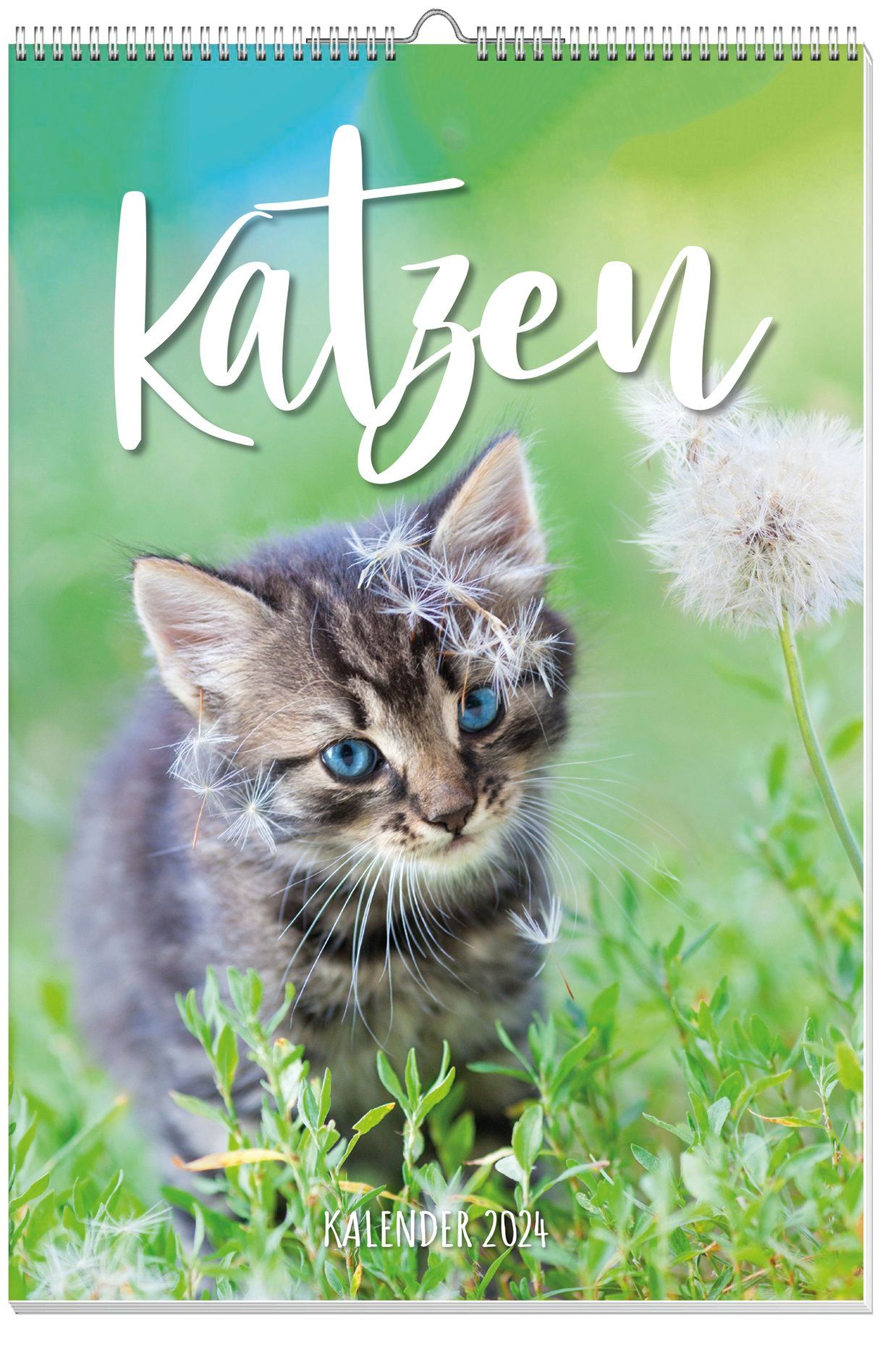 2024　bestellen　Kalender　bei　Katzen　Posterkalender