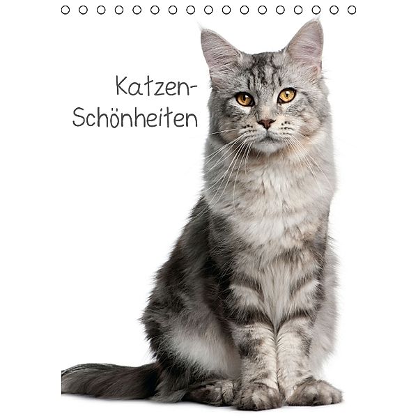 Katzen-Schönheiten (Tischkalender 2014 DIN A5 hoch)