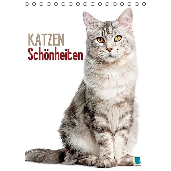 Katzen-Schönheiten (Tischkalender 2018 DIN A5 hoch), CALVENDO