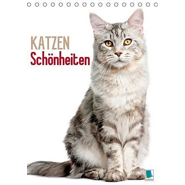 Katzen-Schönheiten (Tischkalender 2020 DIN A5 hoch)