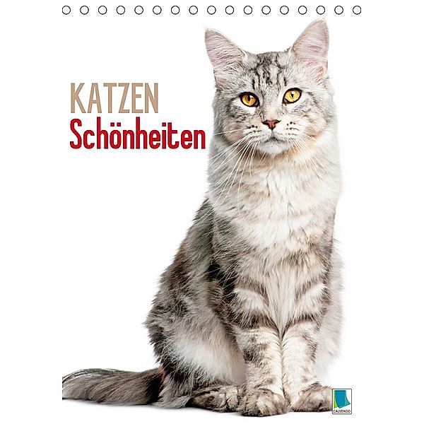 Katzen-Schönheiten (Tischkalender 2021 DIN A5 hoch), Calvendo