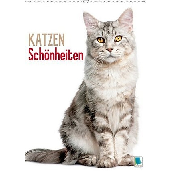 Katzen-Schönheiten (Wandkalender 2020 DIN A2 hoch)