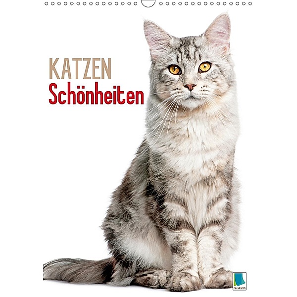 Katzen-Schönheiten (Wandkalender 2021 DIN A3 hoch), Calvendo