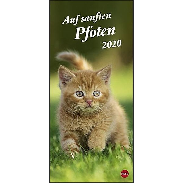 Katzen slim - Auf sanften Pfoten 2020